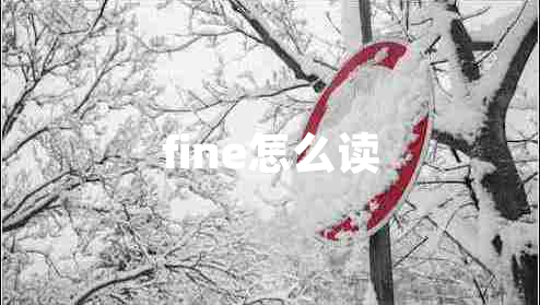 fine怎么讀