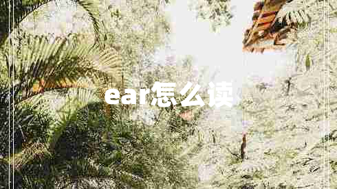 ear怎么讀