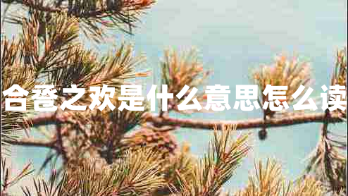 合巹之歡是什么意思怎么讀