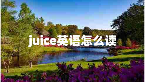 juice英語(yǔ)怎么讀