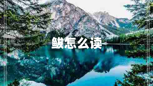 鲅怎么讀 鲅怎么讀