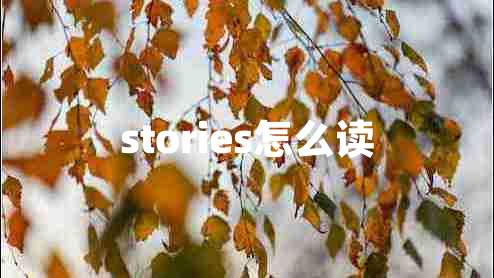 stories怎么讀