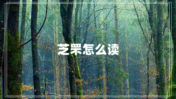 芝罘怎么讀 芝罘怎么讀