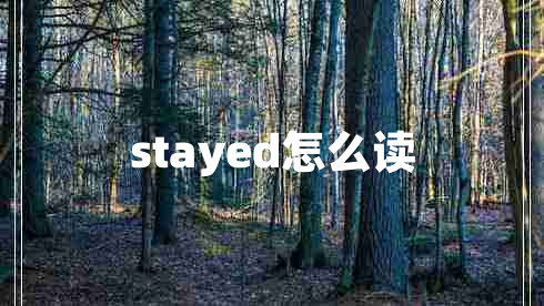 stayed怎么讀