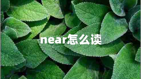 near怎么讀 near怎么讀