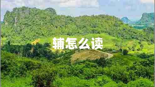 輔怎么讀 輔怎么讀