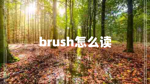 brush怎么讀 brush怎么讀