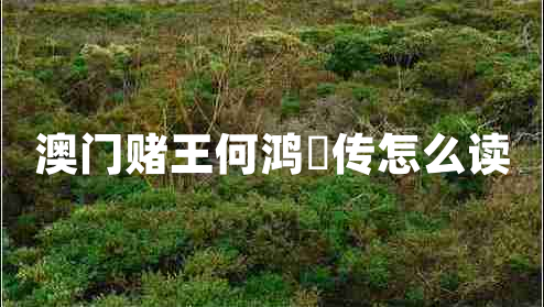 澳門賭王何鴻燊傳怎么讀