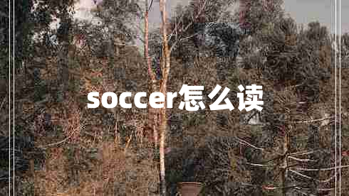 soccer怎么讀
