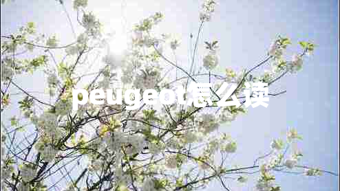 peugeot怎么讀