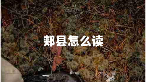 郟縣怎么讀