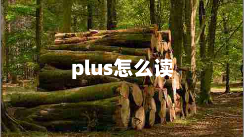 plus怎么讀 plus怎么讀