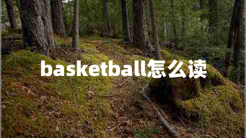basketball怎么讀
