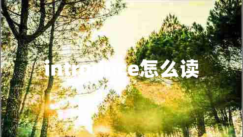 introduce怎么讀