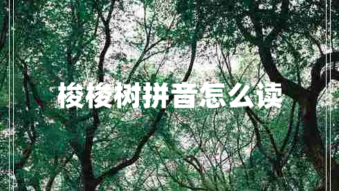 梭梭樹(shù)拼音怎么讀