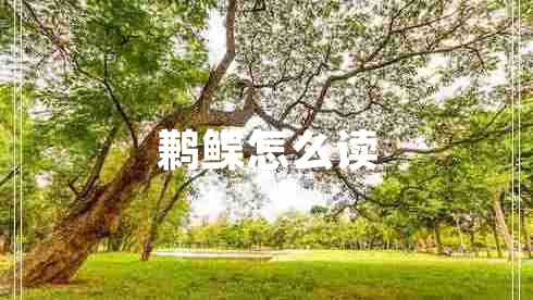 鶼鰈怎么讀