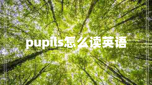 pupils怎么讀英語