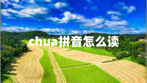 chua拼音怎么讀 chua拼音怎么讀