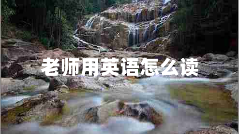 老師用英語怎么讀