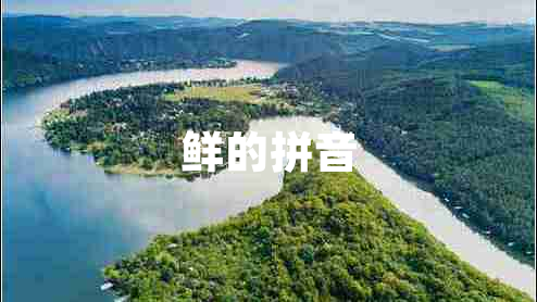 鮮的拼音 鮮的拼音
