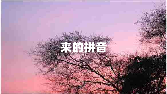 來的拼音 來的拼音