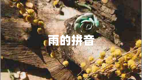 雨的拼音