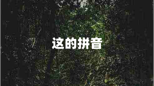 這的拼音 這的拼音