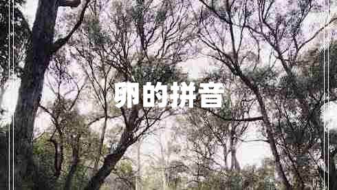 卵的拼音 卵的拼音