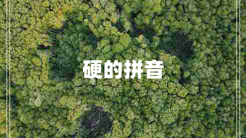 硬的拼音 硬的拼音