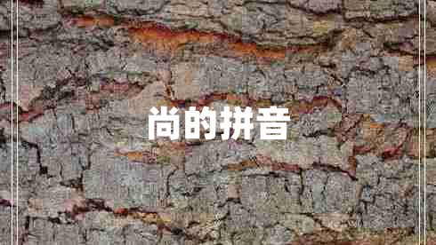 尚的拼音 尚的拼音