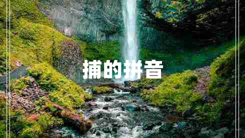 捕的拼音 捕的拼音