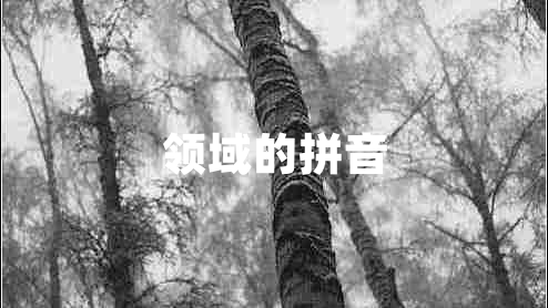 領(lǐng)域的拼音
