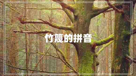 竹篾的拼音 竹篾的拼音