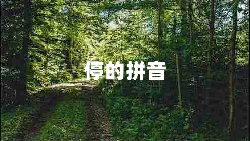 停的拼音 停的拼音