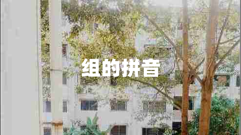 組的拼音