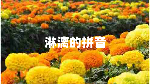 淋漓的拼音 淋漓的拼音