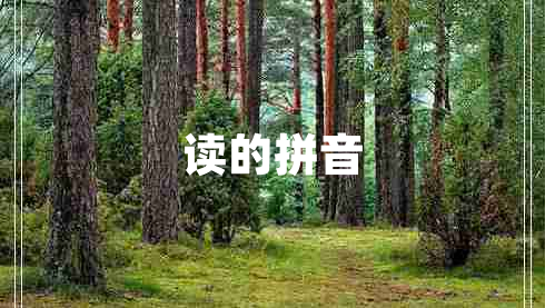 讀的拼音