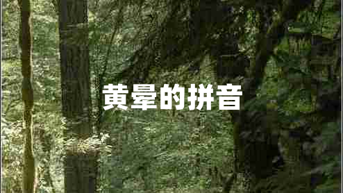 黃暈的拼音 黃暈的拼音