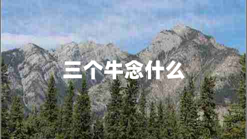 三個牛念什么