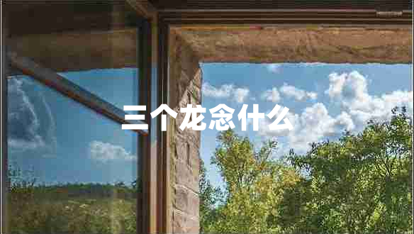 三個龍念什么