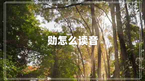 勛怎么讀音 勛怎么讀音