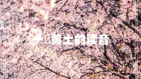 一抔黃土的讀音