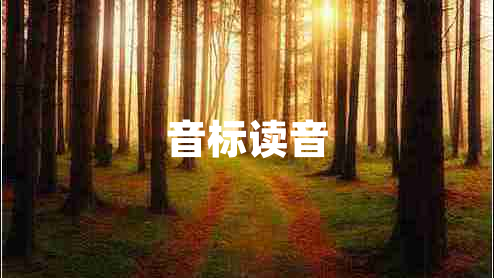 音標(biāo)讀音 音標(biāo)讀音