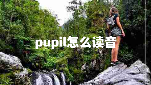pupil怎么讀音 pupil怎么讀音