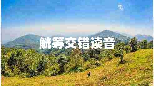 觥籌交錯(cuò)讀音