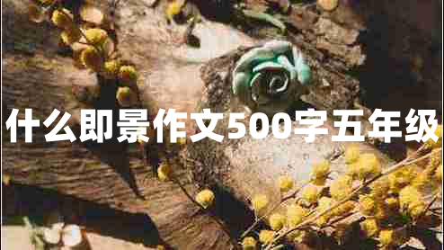 什么即景作文500字五年級