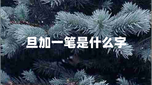 旦加一筆是什么字