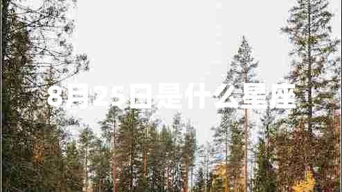 8月25日是什么星座
