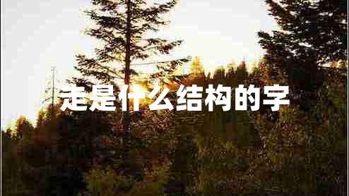 走是什么結(jié)構(gòu)的字