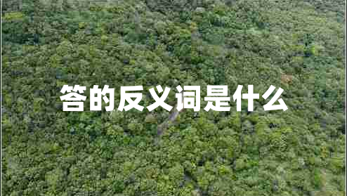 答的反義詞是什么 答的反義詞是什么